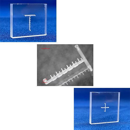 マイクロ流体ガラスデバイス：参考写真3