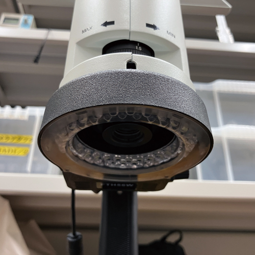 デジタルマイクロスコープDMSZ7P：写真5