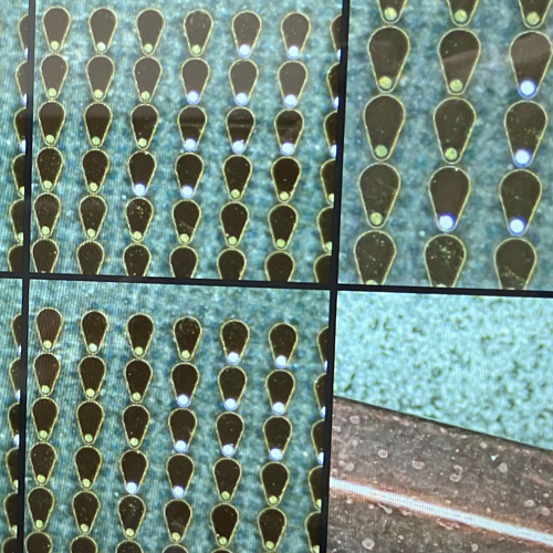 デジタルマイクロスコープDMSZ7P：写真6