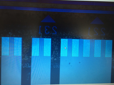 撮像例1:DICなし