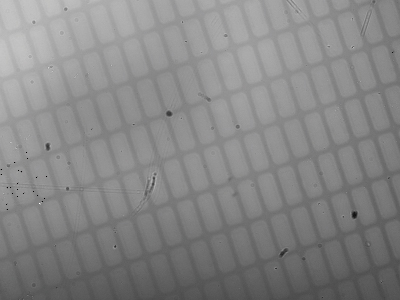 明視野同軸落射LEDスポット照明(1050nm)