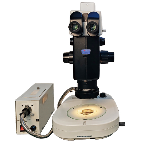 システム実体顕微鏡CREATIVE SM2000：写真1