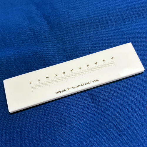 艶有りスケール:S4001写真1