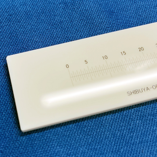 艶有りスケール:S4001写真2